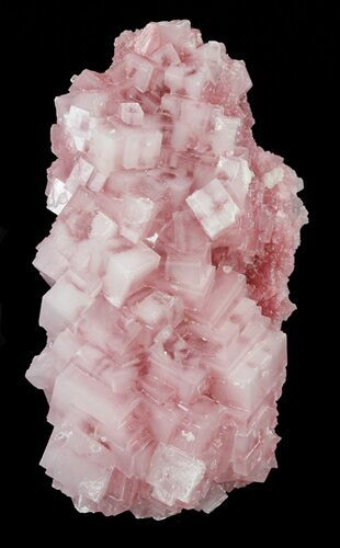 Pink Halite Crystal Plate - Trona, California #61065